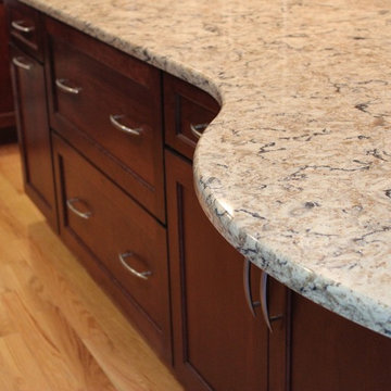 Davenport- Curious Cats Show Us Their New Kitchen