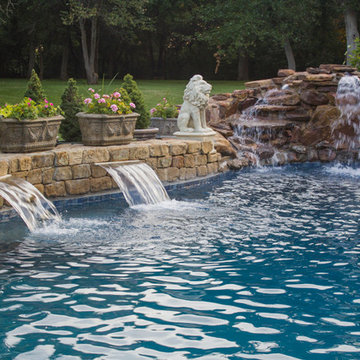 Freeform Custom Pool with Several Water Features