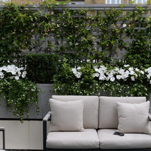 Garden Tour: A City Garden is Transformed By Trellis