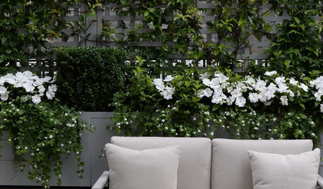 Garden Tour: A City Garden is Transformed By Trellis