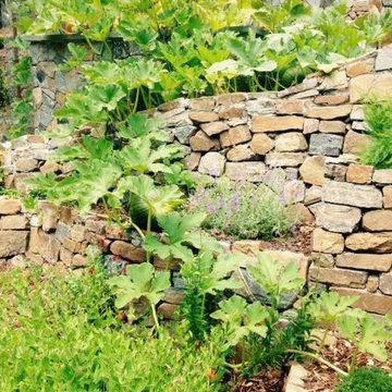 Ross Terraced Vegetable Garden
