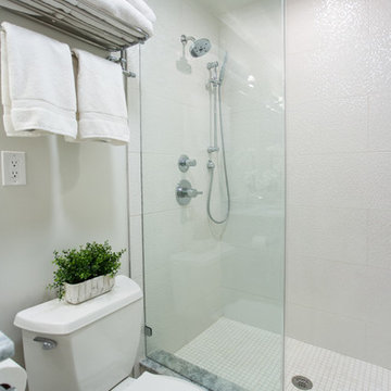 Reston Basement Bathroom Retreat