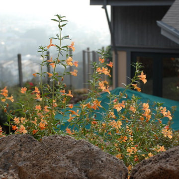 Berkley Landscape and Water Feature