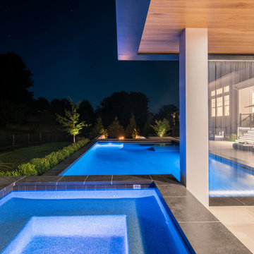 Modern Paradise