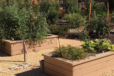 Photo of a mid-sized traditional backyard partial sun formal garden in Sacramento with a vegetable garden and gravel.