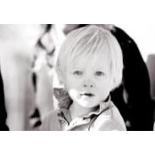 Stephany Steiners foto
