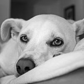 Bronwen Hilhorst's photo
