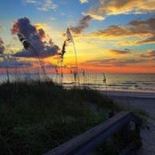 Cyndi Ermis's photo