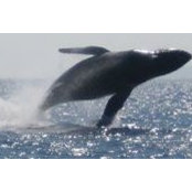 Brent Parker's photo