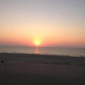 Jess Clark's photo