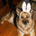 webuser_6719747