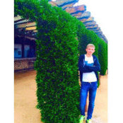 Виталий Данилюк's photo