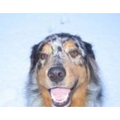 Kim Wood's photo