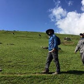 Foto von Ajith Kumar V