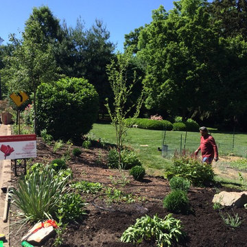 Side Yard Garden Design & Build