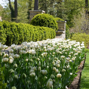 Landscape Design
