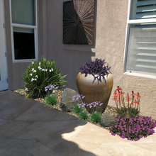 Back Patio