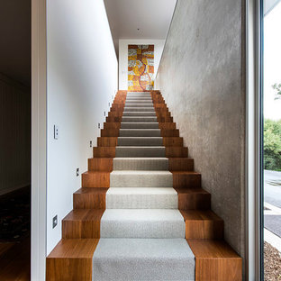 Large trendy wooden straight staircase photo in Perth with wooden risers