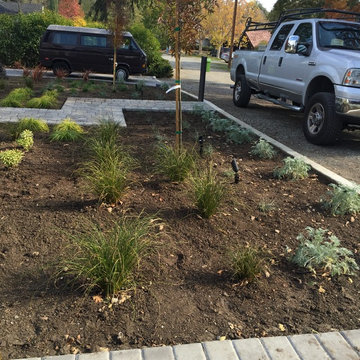 Contemporary, Low Maintenance and drought tolerant Front Yard in Walnut Creek