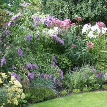 Back Garden