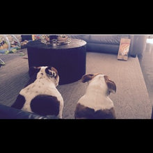 Bully Love