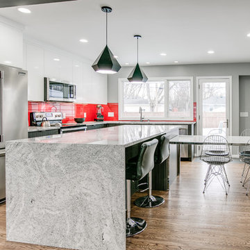 Coon Rapids Modern Kitchen Remodel
