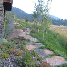 Leadville Landscape