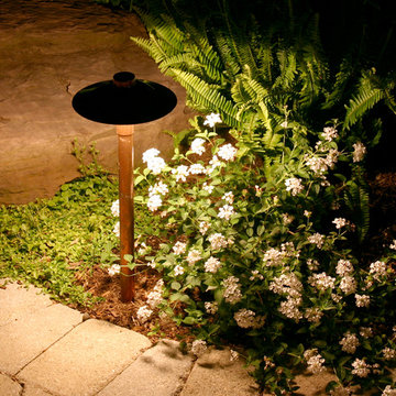 Backyard Lighting St Louis Style!