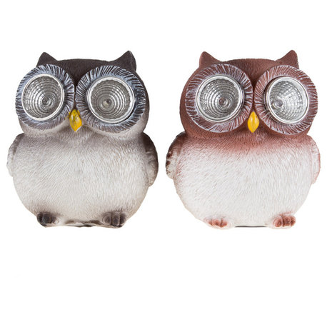 Owl Solar LED Garden Statue Set of 2 by Pure Garden