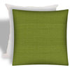 Forma Kiwi Indoor/Outdoor Zippered Pillow Covers With Inserts, Set of 2