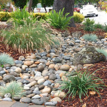 Paradise Drive Lee 3
