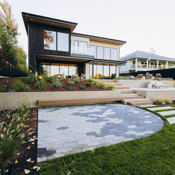 Professional Yard Cleanup
