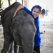 Molly Sun's photo