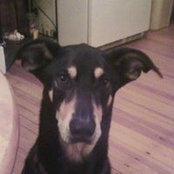 Susan Ojeda's photo