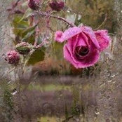 Doreen Bölke's photo