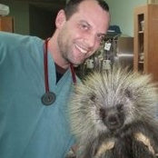 Dave Rubenstein's photo