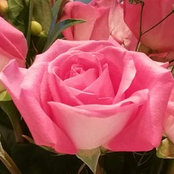 elizabeth steinberg's photo
