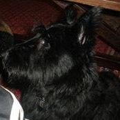 Ben Schroeder's photo