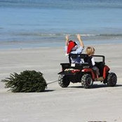 Candace Celeste Hall's photo