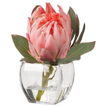 Pink queen protea in glass cube