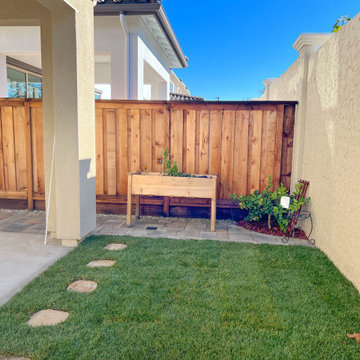 Small Backyard Remodel