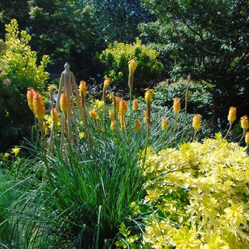 The Shay Garden