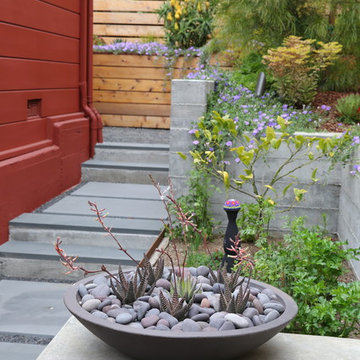 San Francisco Mid Century Revival