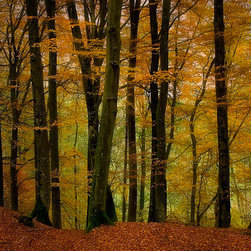 Landscapes/Nature - Artwork