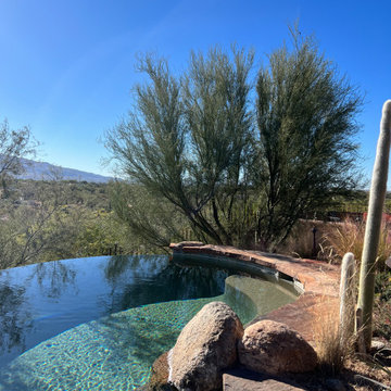 Viva Sonoran Desert!