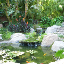 Pond