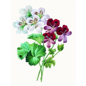 Tile Mural Flowers By Fedor Tolstoy Color White Red Green, 6"x8", Matte