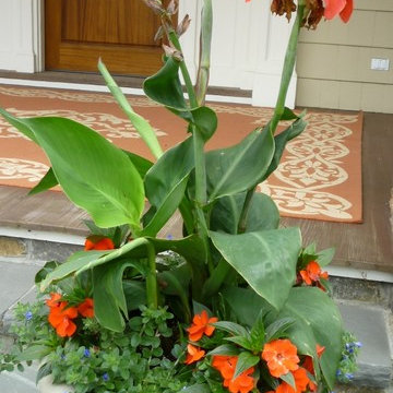 Spring and Summer Container Design