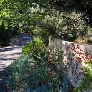 Santa Cruz Mountains 1