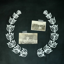 mtone product line - decals